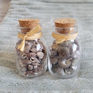 Decorative Glass Bottles Filled with Natural Seashells - Neutral Tones